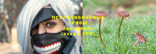 индика Баксан