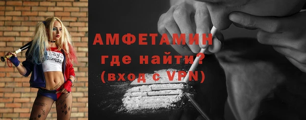 молекула духа Богданович