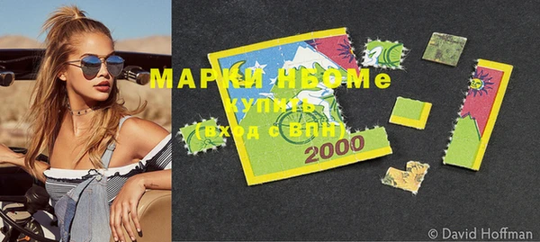 индика Баксан