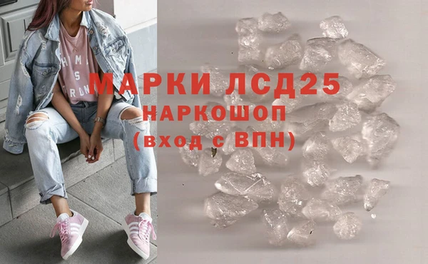 индика Баксан