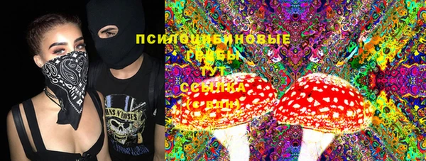 индика Баксан
