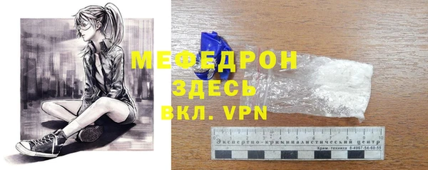 молекула духа Богданович