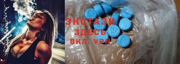 индика Баксан