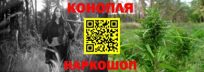 кокс Кингисепп