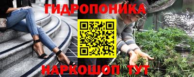 кокс Кингисепп