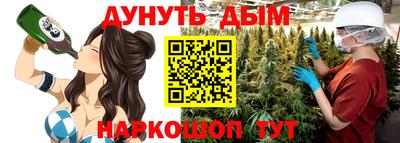кокс Кингисепп