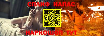кокс Кингисепп