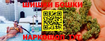 кокс Кингисепп