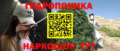 трава Кинель