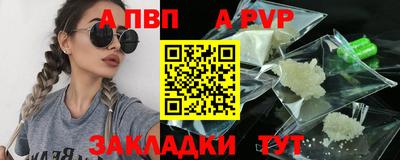 кокс Кингисепп