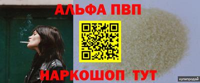 кокс Кингисепп