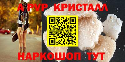 кокс Кингисепп