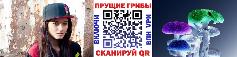 Псилоцибиновые грибы мухоморы мега как войти Минеральные Воды