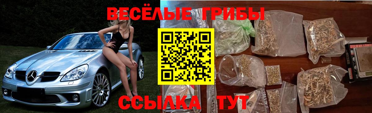 Псилоцибиновые грибы MAGIC MUSHROOMS Минеральные Воды